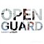 Open Guard Fundamentals by Danny Stolfi