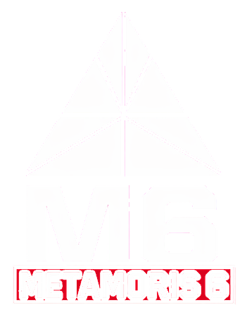 Metamoris 6 logo