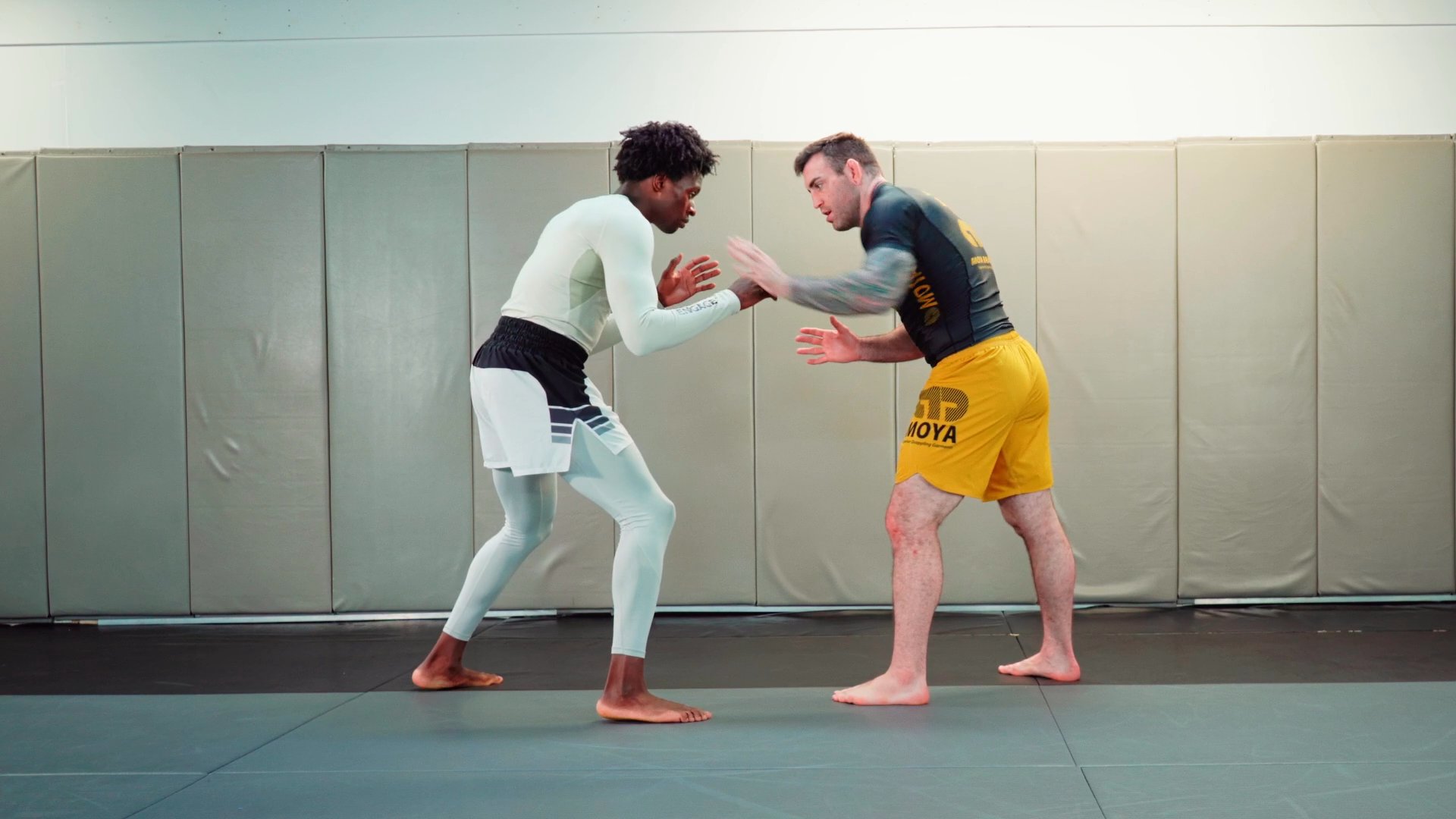Refine Hand Fighting Skills