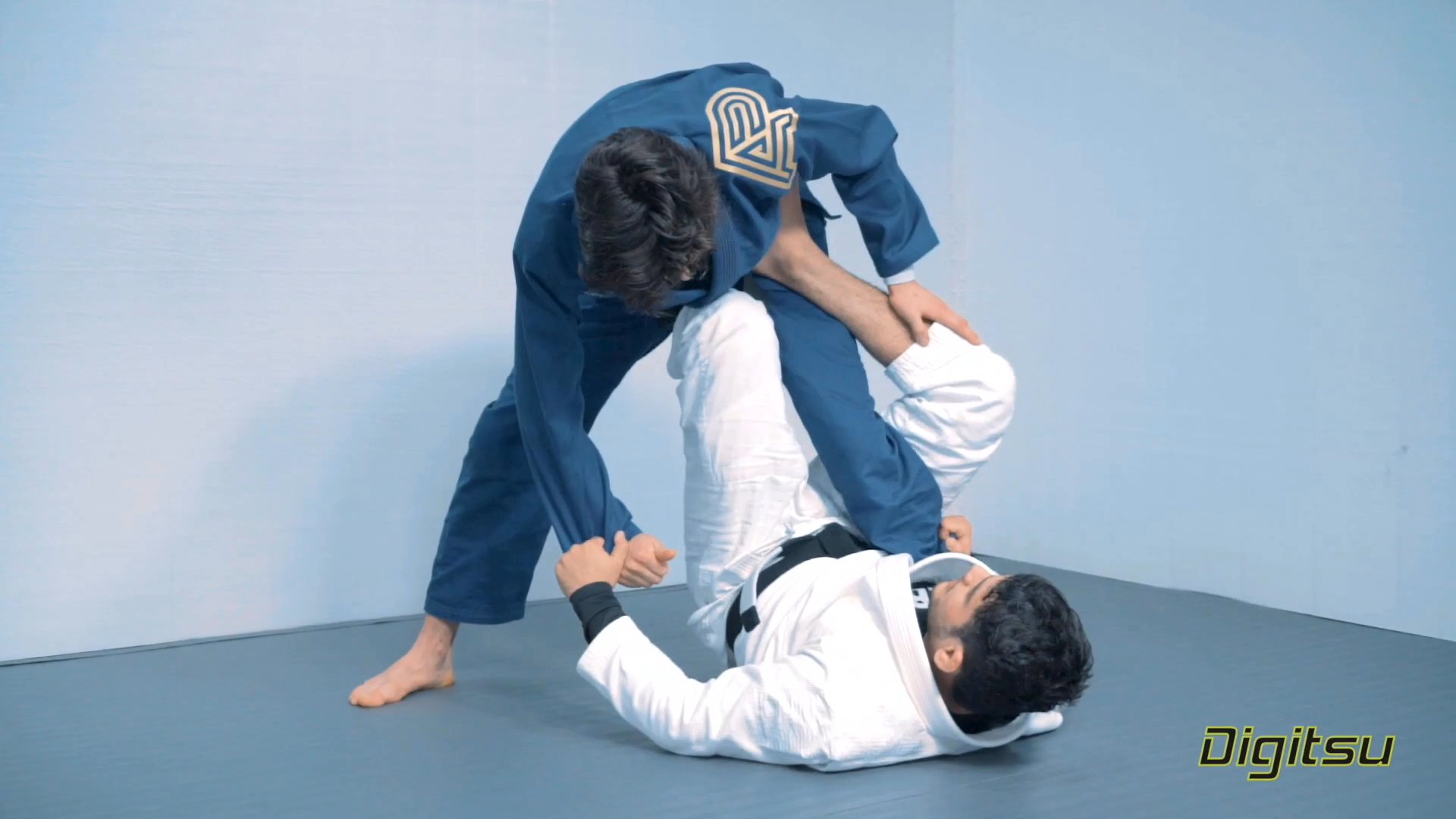 Adapt to Any Guard Situation