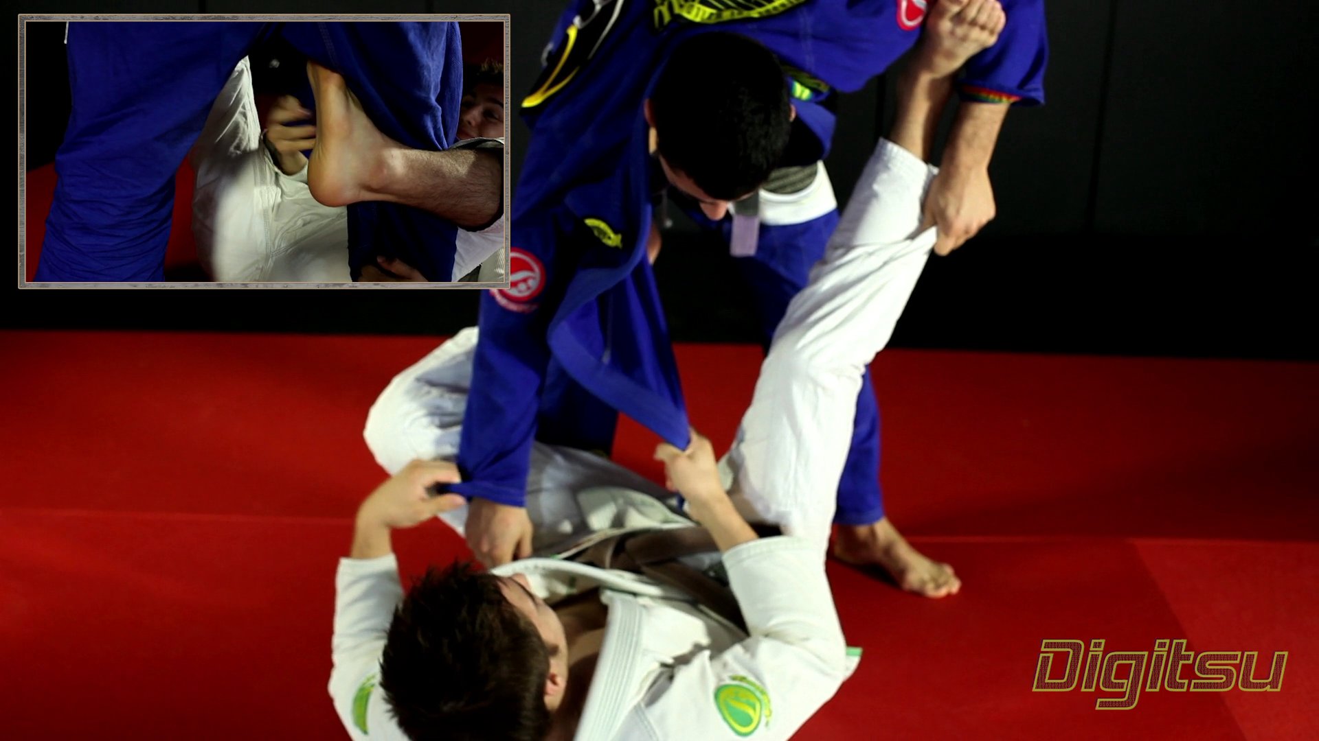 Elevate Your Guard Game