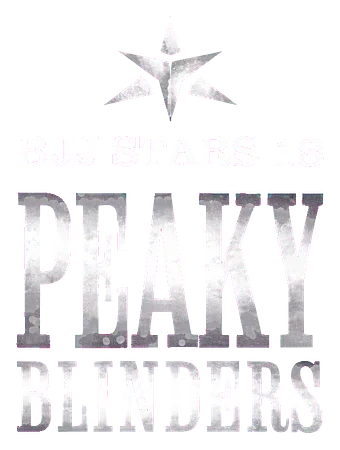 BJJ Stars 18 logo