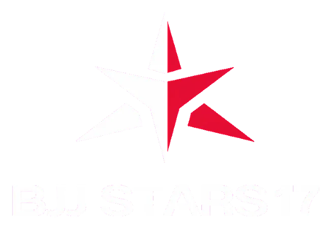 BJJ Stars 17 logo