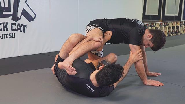 Integrate Diverse Techniques
