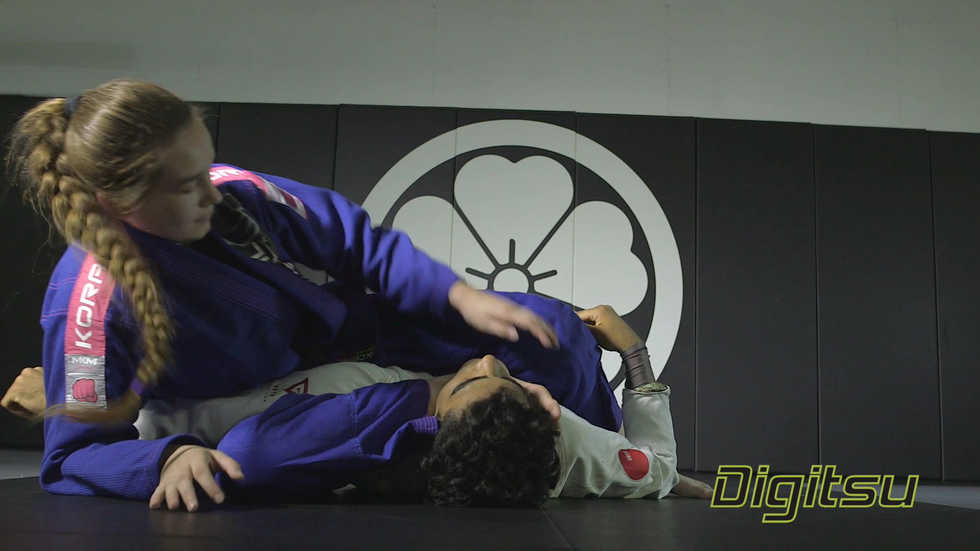 Unlock the Power of the Domoplata