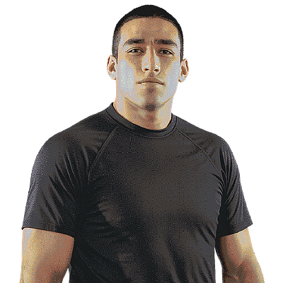 Fabricio Werdum