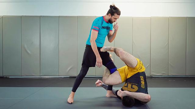 Integrate Reverse De La Riva